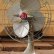 画像1: 東京芝浦電気（ＴＯＳＨＩＢＡ）ローズエンブレム　ビンテージ扇風機　レトロファン　 (1)