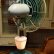画像4: 東芝　ランプ付き　扇風機 昭和レトロ　ファン ビンテージ扇風機 (4)