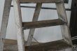 画像4: イギリス製アンティークラダー,脚立,ハシゴ